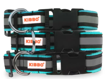 Kibbo Premium Nylon Collar with Buckle and D Ring For Dogs (Sea Green Pack of 3) Online