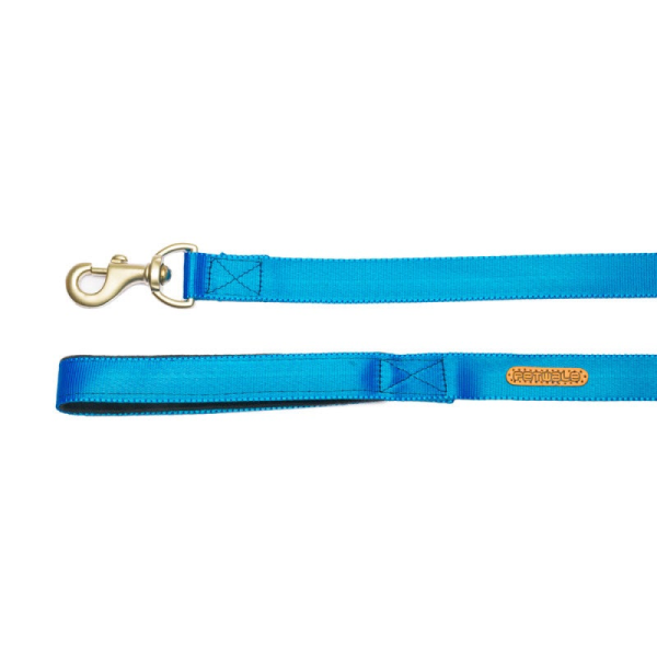 PetWale Long Lead Nylon Leash for Dogs (Blue) Fashion