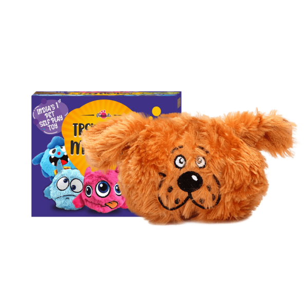 Pawsindia Trembling Monster Toy for Dogs (Brown) Online Hot Sale