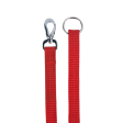 M Pets Sportline Leash for Dogs (Red) Online Sale