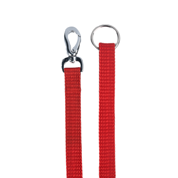 M Pets Sportline Leash for Dogs (Red) Online Sale