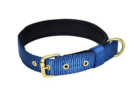 Glenand Petz Pure Nylon Padded Collar for Dogs (Dark Blue,3 4 inches) Online