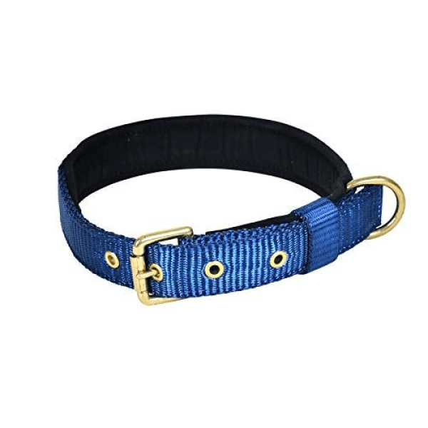 Glenand Petz Pure Nylon Padded Collar for Dogs (Dark Blue,3 4 inches) Online