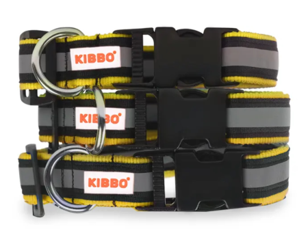 Kibbo Premium Nylon Collar with Buckle and D Ring For Dogs (Yellow Pack of 3) For Discount