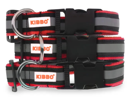 Kibbo Premium Nylon Collar with Buckle and D Ring For Dogs (Red Pack of 3) For Discount