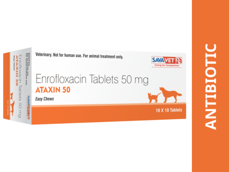 Savavet Ataxin (Enrofloxacin) Tablet for Dogs & Cats (pack of 10 tablets) For Discount