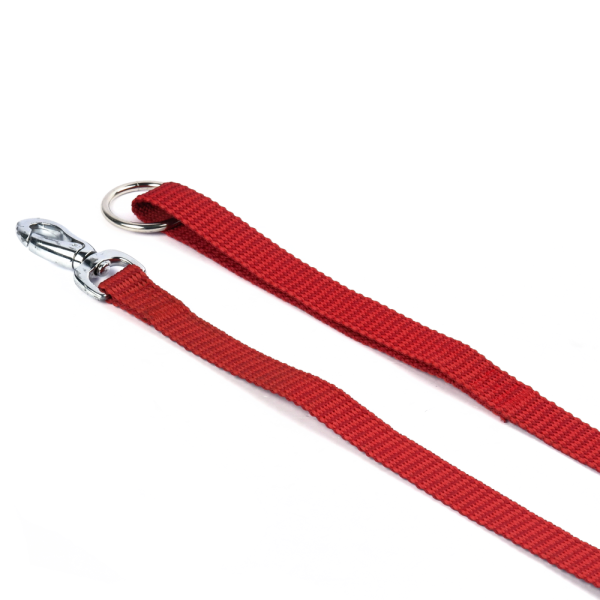 M Pets Sportline Leash for Dogs (Red) Online Sale