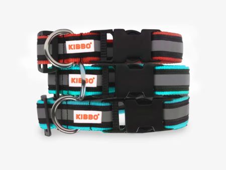 Kibbo Premium Nylon Collar with Buckle and D Ring For Dogs (Sea Green, Red Pack of 3) For Discount