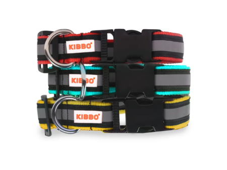 Kibbo Premium Nylon Collar with Buckle and D Ring For Dogs (Red, Yellow, Sea Green Pack of 3) Discount