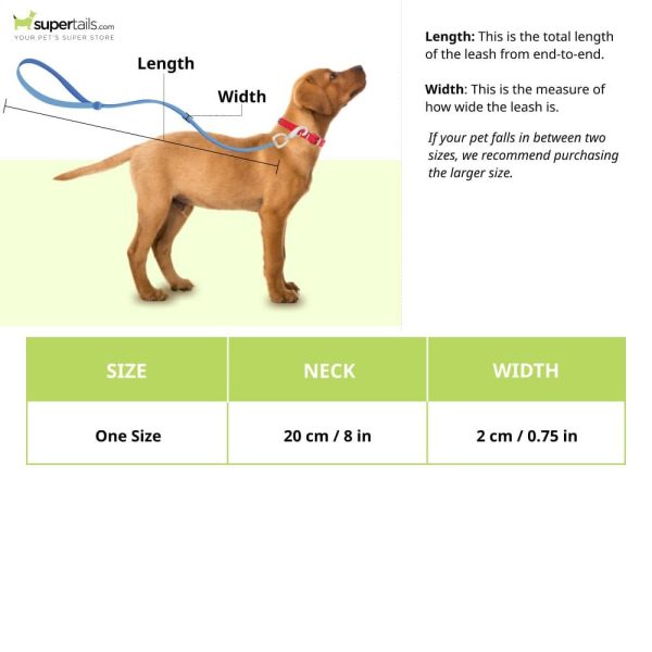 Glenand Petz Pure Nylon Padded Collar for Dogs (Light Green,3 4 inches) Online