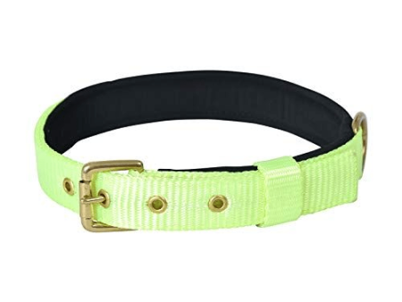 Glenand Petz Pure Nylon Padded Collar for Dogs (Light Green,3 4 inches) Online