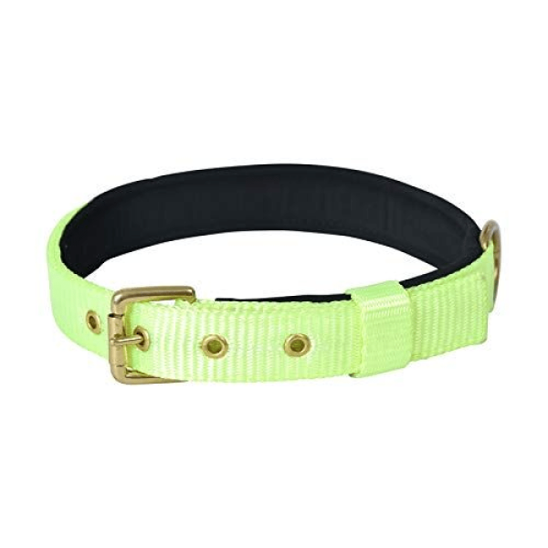 Glenand Petz Pure Nylon Padded Collar for Dogs (Light Green,3 4 inches) Online