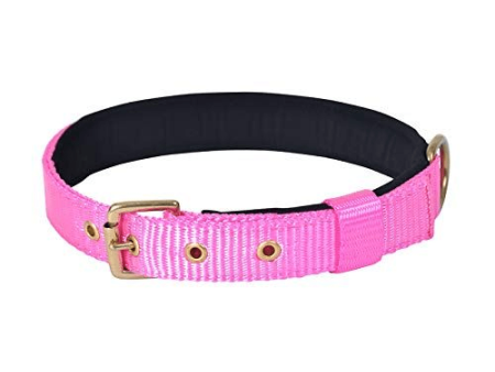 Glenand Petz Pure Nylon Padded Collar for Dogs (Pink,3 4 inches) Online Sale