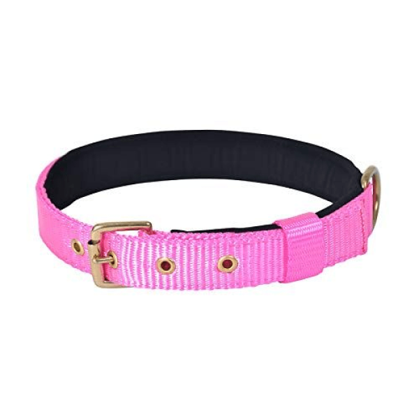 Glenand Petz Pure Nylon Padded Collar for Dogs (Pink,3 4 inches) Online Sale