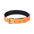 Glenand Petz Pure Nylon Padded Collar for Dogs (Orange,3 4 inches) Cheap