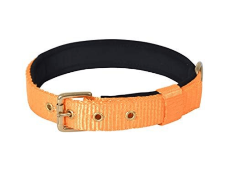 Glenand Petz Pure Nylon Padded Collar for Dogs (Orange,3 4 inches) Cheap