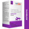 Savavet Cephavet (Cephalexin) Dry Syrup for Dogs and Cats (60ml) For Discount