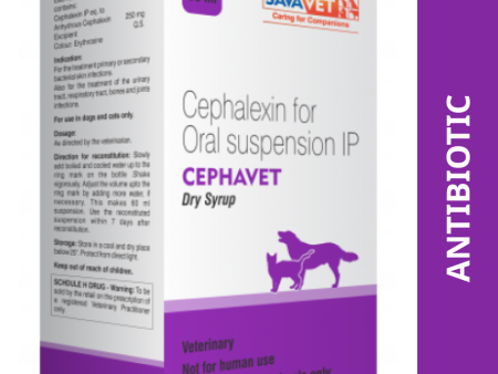 Savavet Cephavet (Cephalexin) Dry Syrup for Dogs and Cats (60ml) For Discount