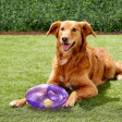 Kong Jumbler Football Toy for Dogs (Purple) Online