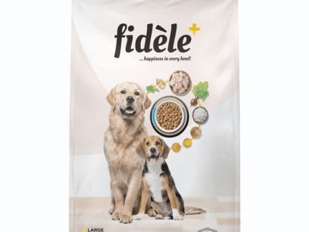 Fidele Plus Large Puppy Dry Food (70g) Online now