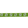 Basil Printed Collar for Cats & Puppies (Green) Supply