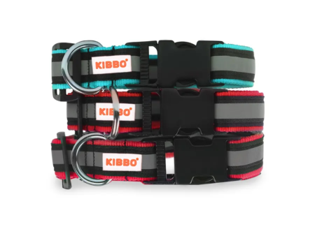 Kibbo Premium Nylon Collar with Buckle and D Ring for Dogs (Red,Sea Green Pack of 3) Supply