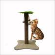 Basil Coconut Tree Toy for Kittens & Cats (Green Brown) For Cheap