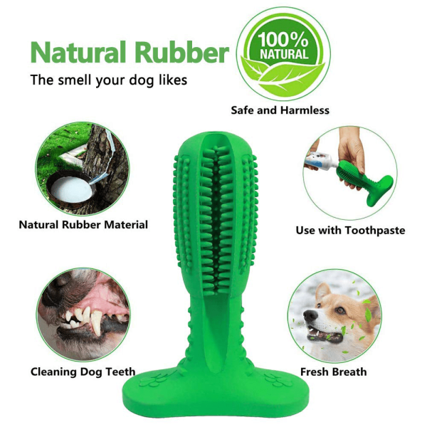 Pawsindia Dental Toy for Dogs (Green) Online