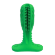 Pawsindia Dental Toy for Dogs (Green) Online