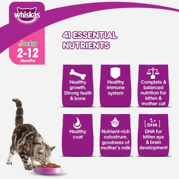 Whiskas Mackerel Flavour Dry Food for Mother and Baby Cat For Cheap