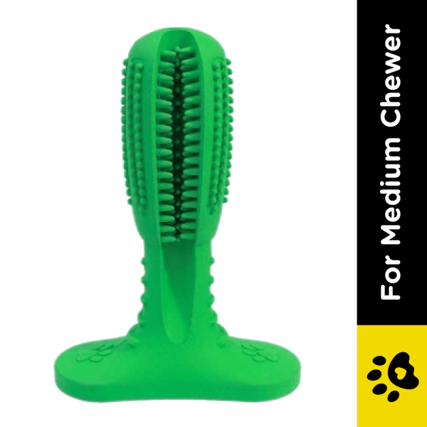 Pawsindia Dental Toy for Dogs (Green) Online