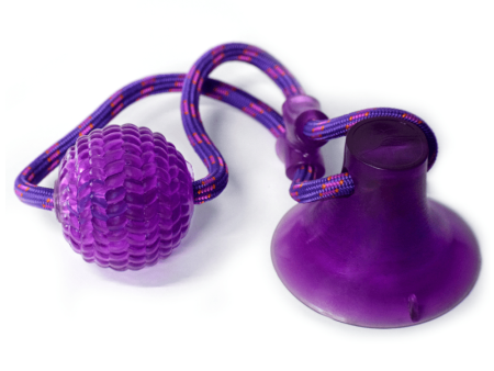 Basil Silicon Vacuum Cup with Rope & Ball Toy for Dogs and Cats | For Medium Chewers (Purple) Cheap