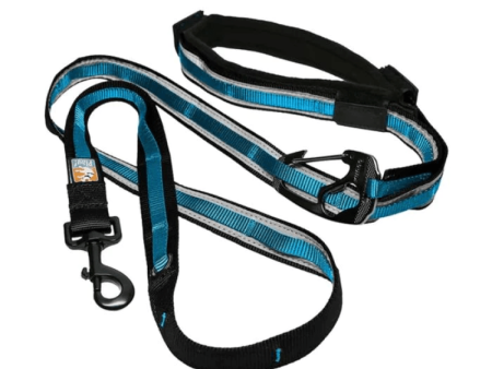 Kurgo Quantum 6 in 1 Dog Leash (Coastal Blue) Fashion