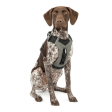 Kurgo Journey Air Harness for Dogs (Black Gargoyle Grey) Online