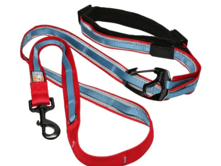 Kurgo Quantum 6 in 1 Dog Leash (Barn Red) For Sale