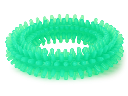 Basil Teething Ring Chew Toy for Dogs | For Medium Chewers (Green) Sale