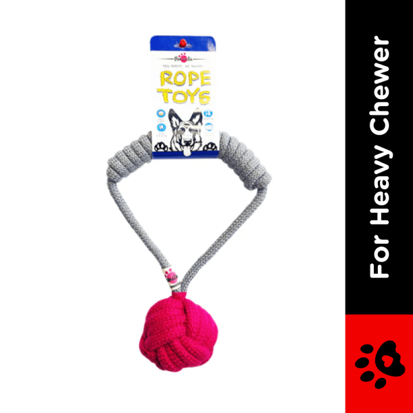 Pawsindia Tug of War Rope Toy for Dogs (Grey) Online now