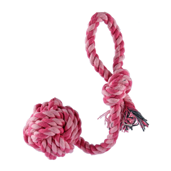 Trixie Playing Rope Loop with Woven in Ball Toy for Dogs (Pink) Supply