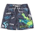 Wholesale Beach Shorts Men Quick Dry Loose 3D Cartoon Large Size Swimwear Discount