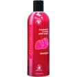 Bark 2 Basics Strawberries & Creme Greek Yogurt Shampoo For Cheap