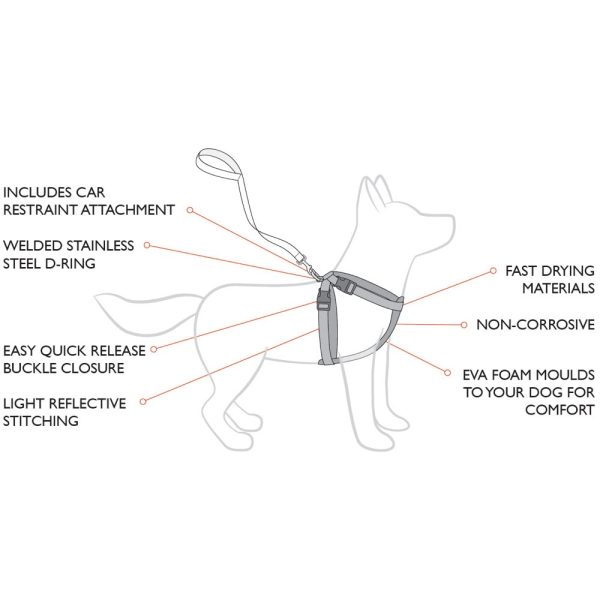 EzyDog Chest Plate Harness - Small Online now