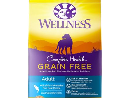 Wellness Complete Health Grain Free Adult Whitefish & Menhaden Meal Dry Dog Food 24lb on Sale