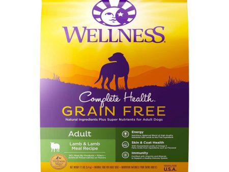 20% OFF: Wellness Complete Health Grain Free Adult Lamb & Lamb Meal Dry Dog Food 24lb Hot on Sale