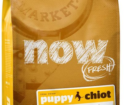 Now Fresh Grain-Free Puppy Recipe Dry Dog Food Online Sale