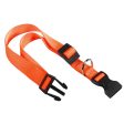 Ferplast Club C 10 32 Dog Collar Supply