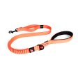 EzyDog Zero Shock Leash 48  With Traffic Control Online